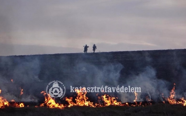 Február közepe óta mintegy 2000 szabadtéri tűzhöz riasztották a tűzoltókat